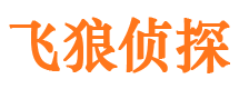 九里市私家侦探